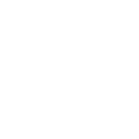 SBGO™ LOGO